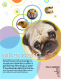 Click to enlarge Lost Pet Flyer Template
